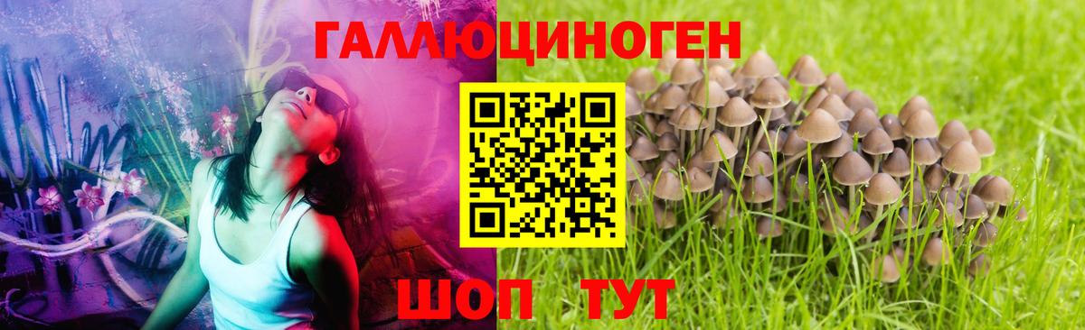 Галлюциногенные грибы ЛСД  наркошоп  Дивногорск  Вход с VPN  Псилоцибиновые грибы мицелий 
